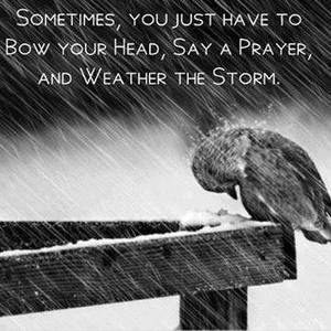 Meet your Posher, Joan